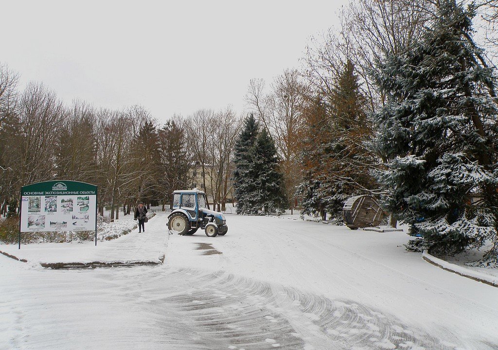 Ботанический сад имени Николая Багрова. Зима - Александр Рыжов
