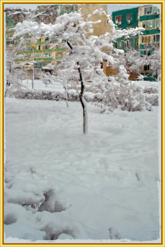 Деревце в снегу - Анатолий Чикчирный