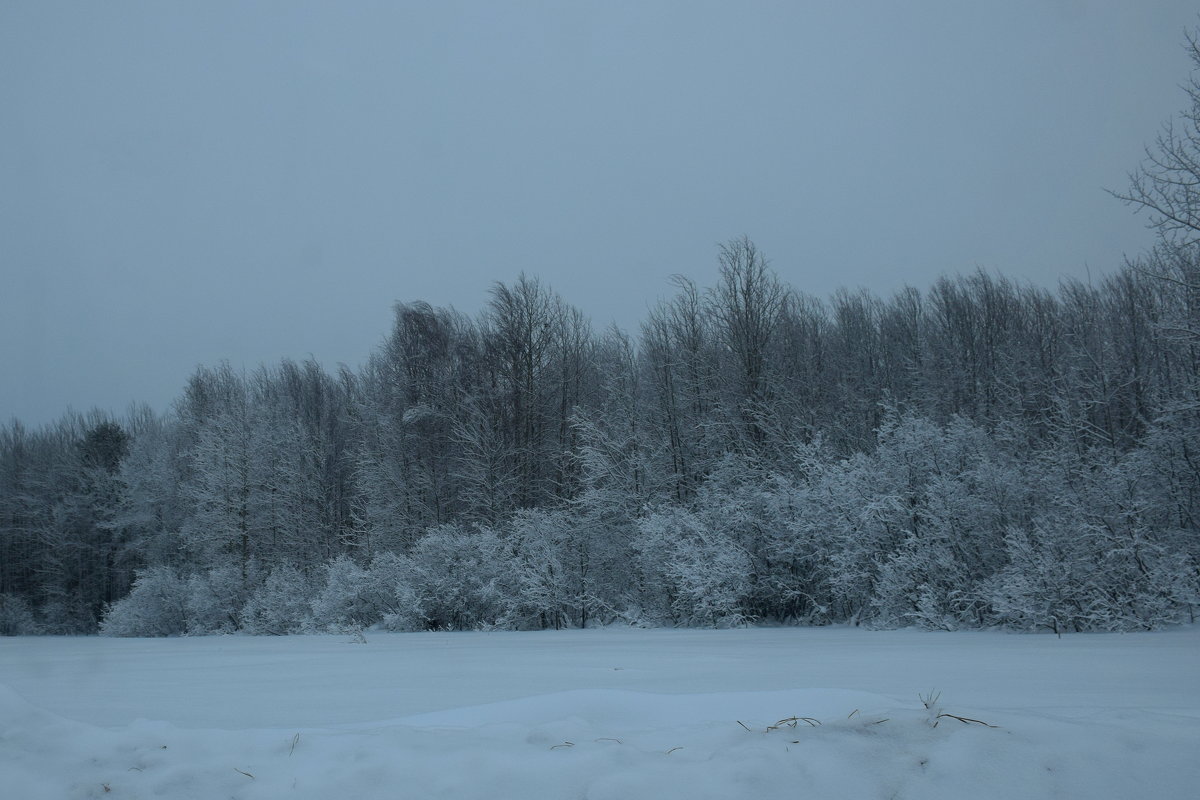 зимний пейзаж - Леонид Чащин