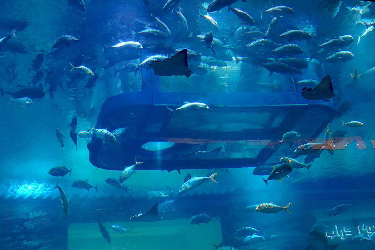 Дубайский аквариум. - Alex 