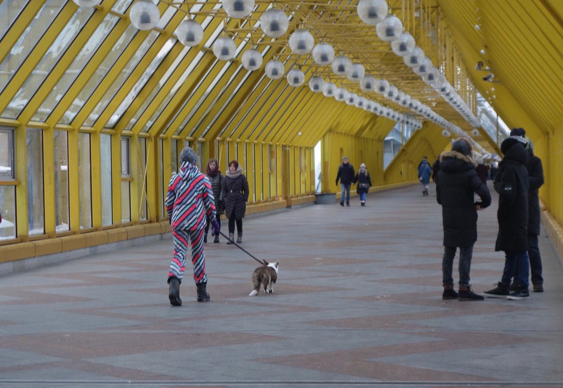 прогулка по Андреевском мосту - Елена 