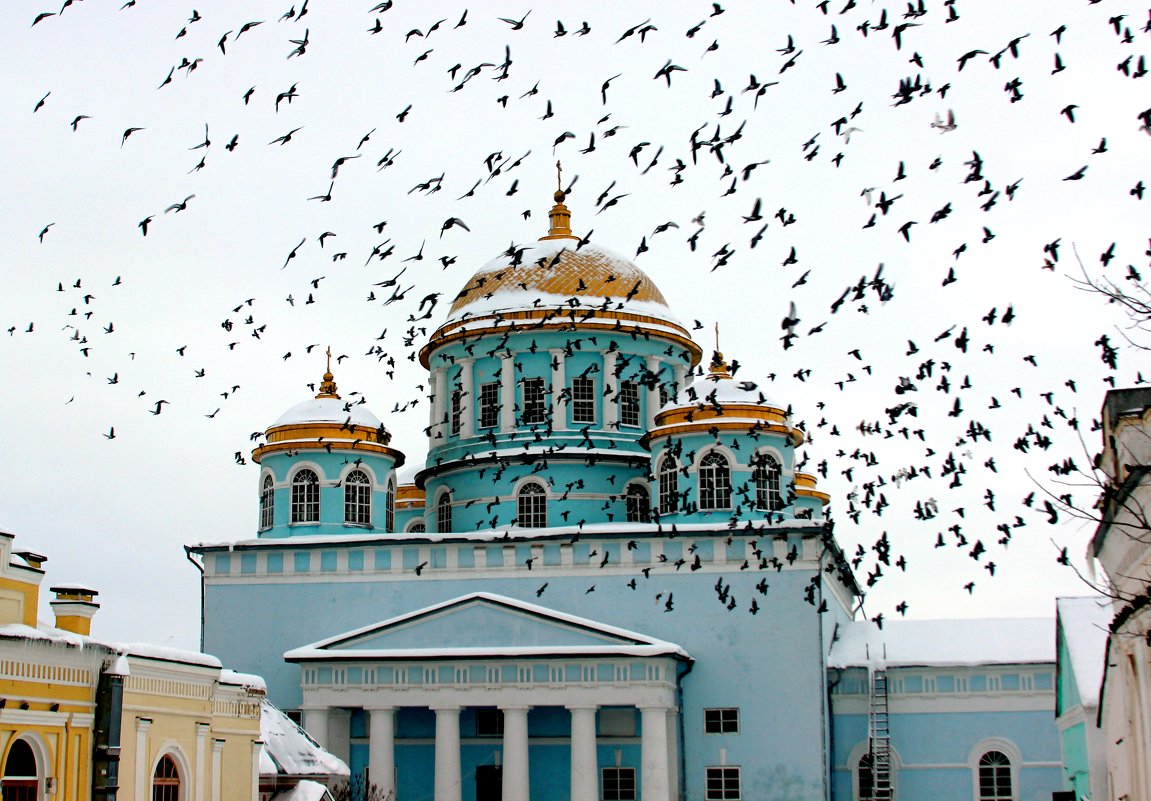 летите голуби - Дмитрий Солоненко