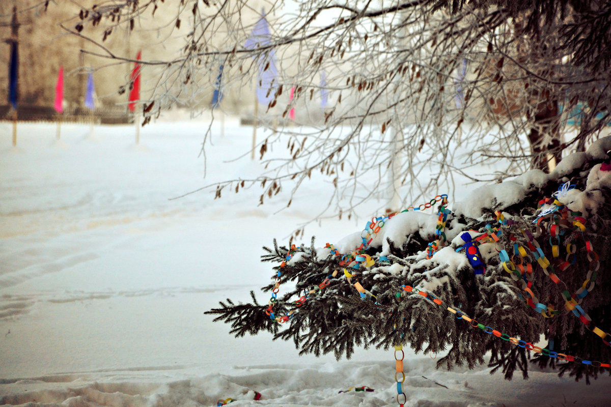 Первый день 2019 года... - Алёна PRIVALOVA