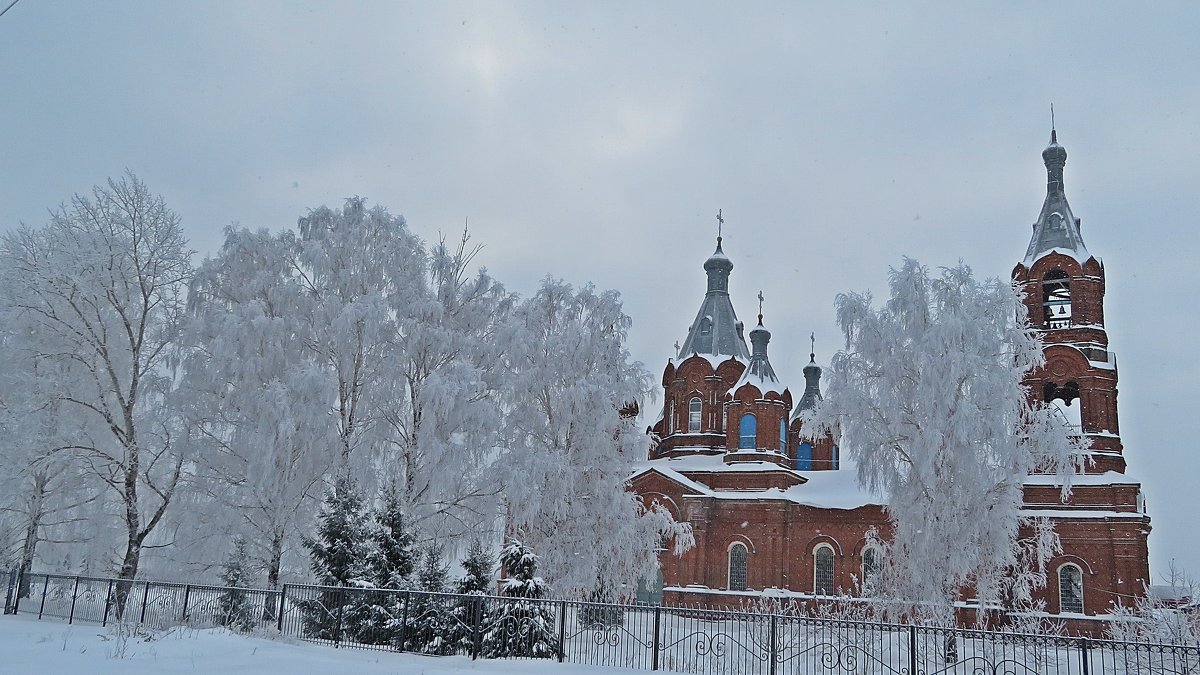 В  первый  день  Рождества Христова случилась  снежная  сказка! - Виталий Селиванов 