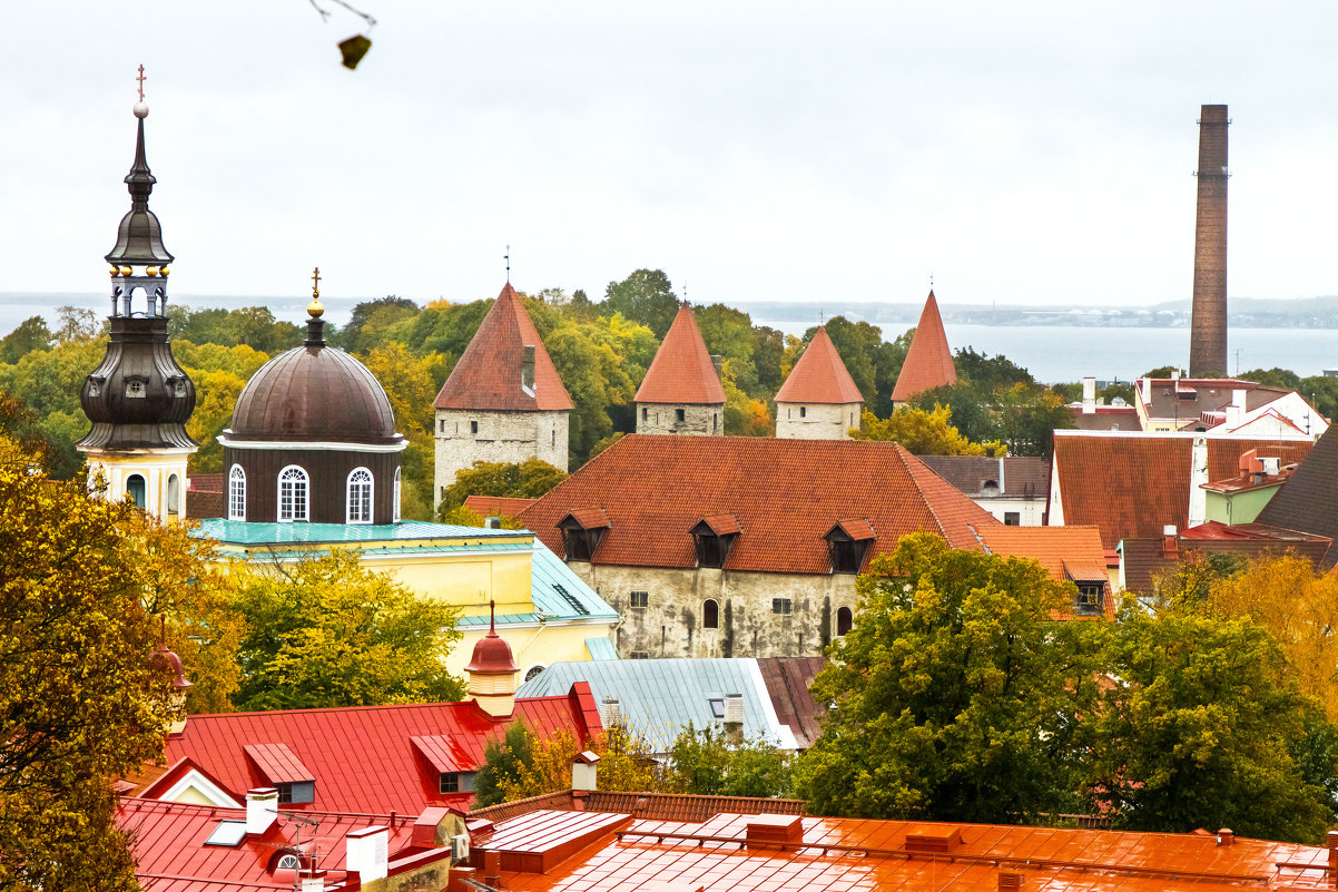 TALLINN - Александр Яковлев