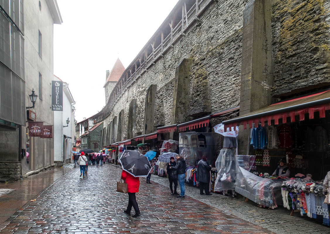 TALLINN - Александр Яковлев