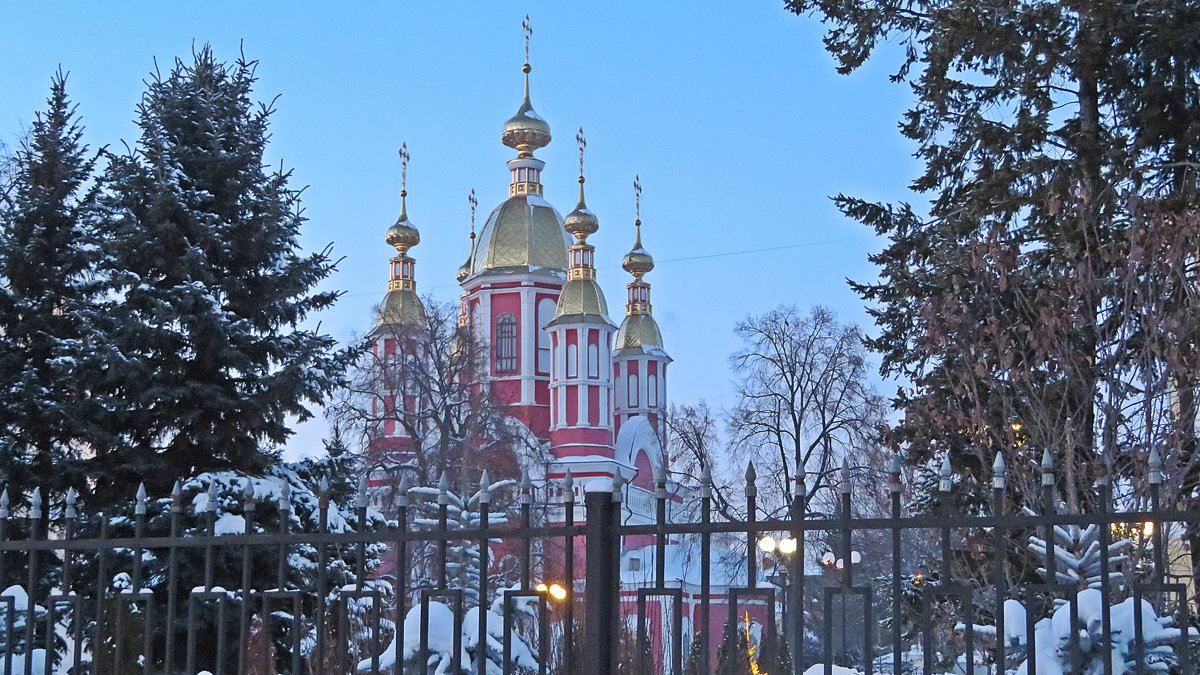 Тамбовские храмы в  Рождество  ! - Виталий Селиванов 