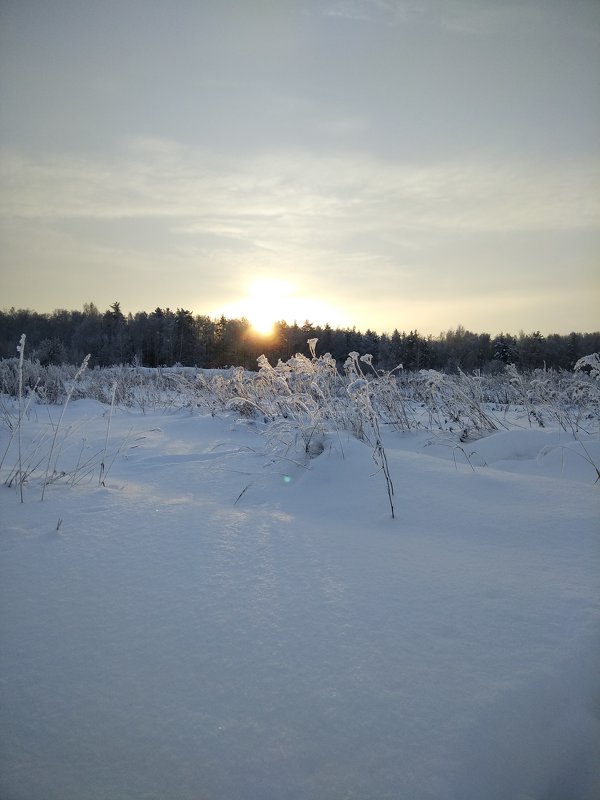 Скупое солнце января ! - Сергей 