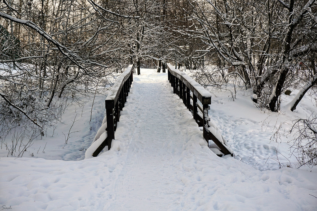 Замерзший мост через деревянную реку - Alex Sash