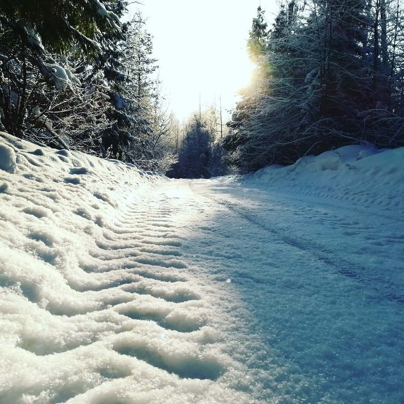 Зимний лес - Ruslan 