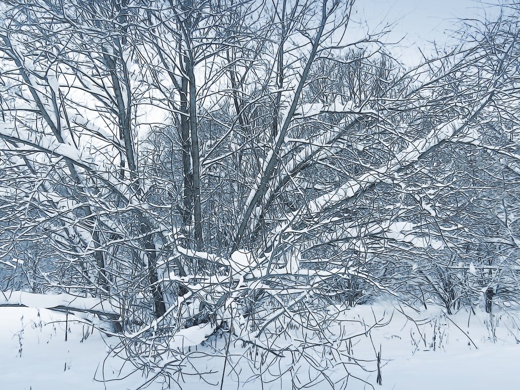 Деревья в серебре - Наталья Лакомова