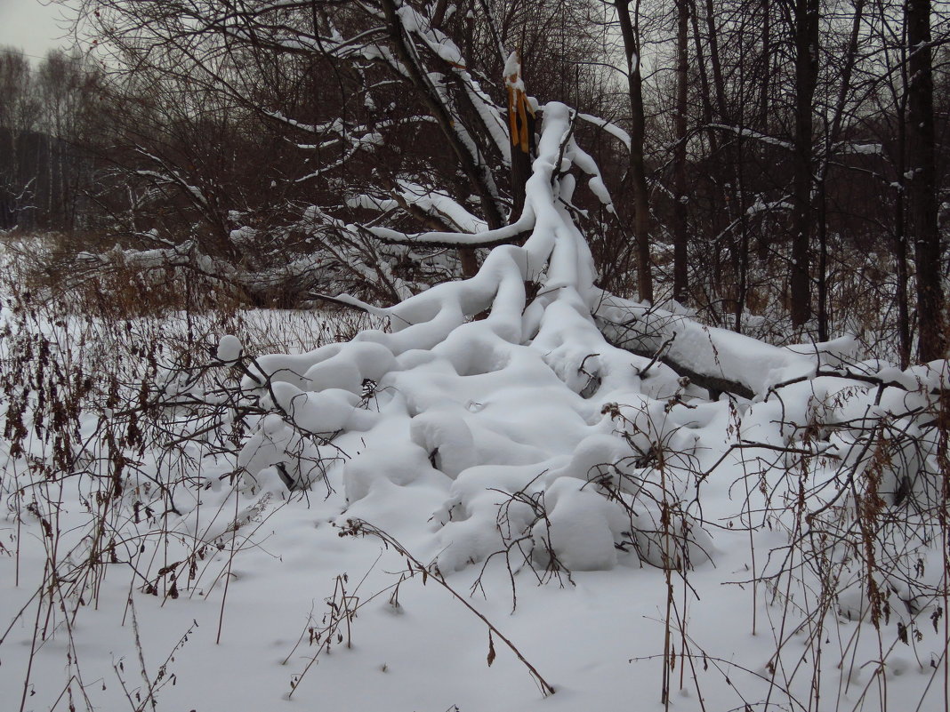 В этом году грех жаловаться на зиму - Андрей Лукьянов