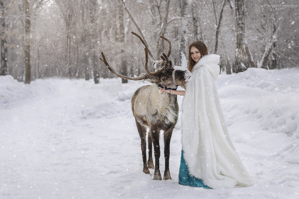 зимняя сказка - Viktoriya Balaganskaya