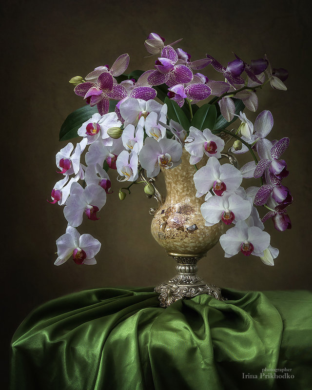 Натюрморт с букетом орхидей - Ирина Приходько