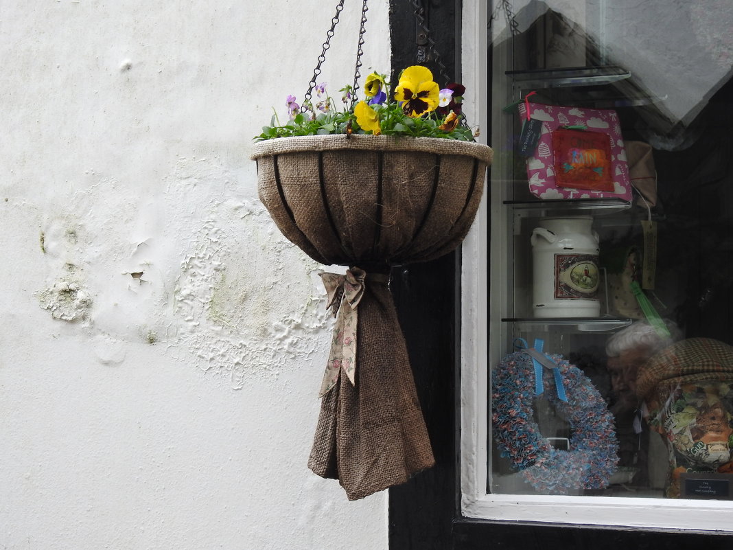 Цветы в подвесной корзине - Natalia Harries