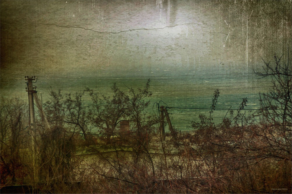 Вид на море с барашками - Ольга Мальцева