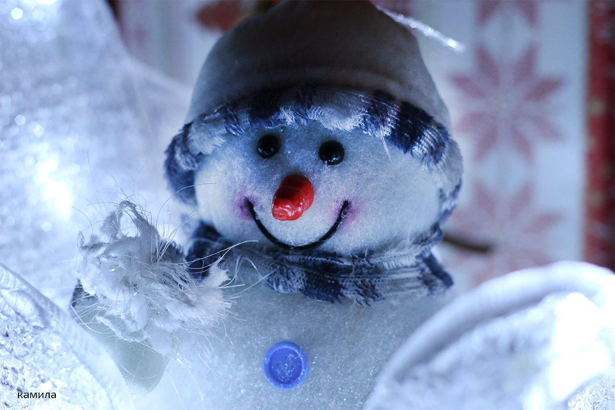Портрет доброго Снеговика-"Весельчака". - Mila .