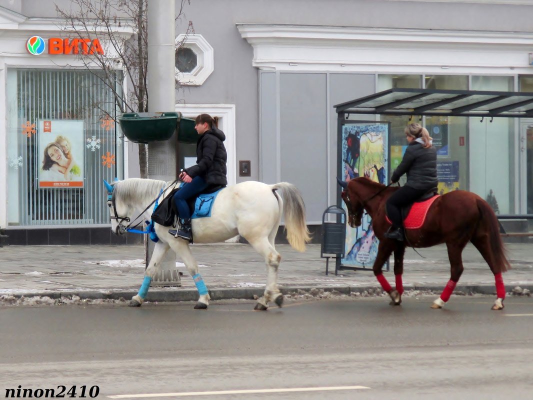 Новое слово в городском транспорте - Нина Бутко