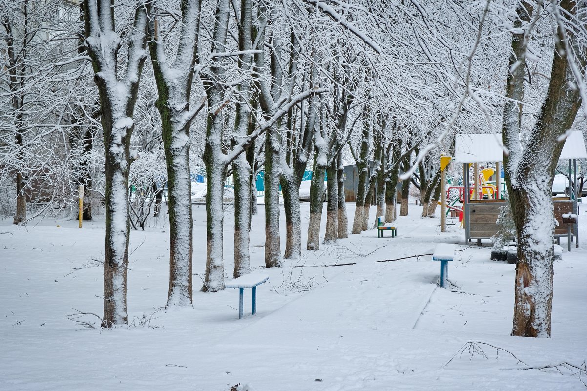 Зима в Ростове - Александр Гапоненко