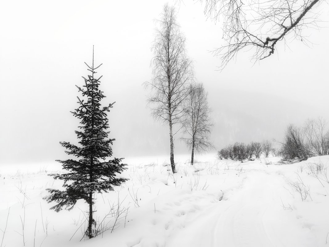 winter lake - Ирина Секачева