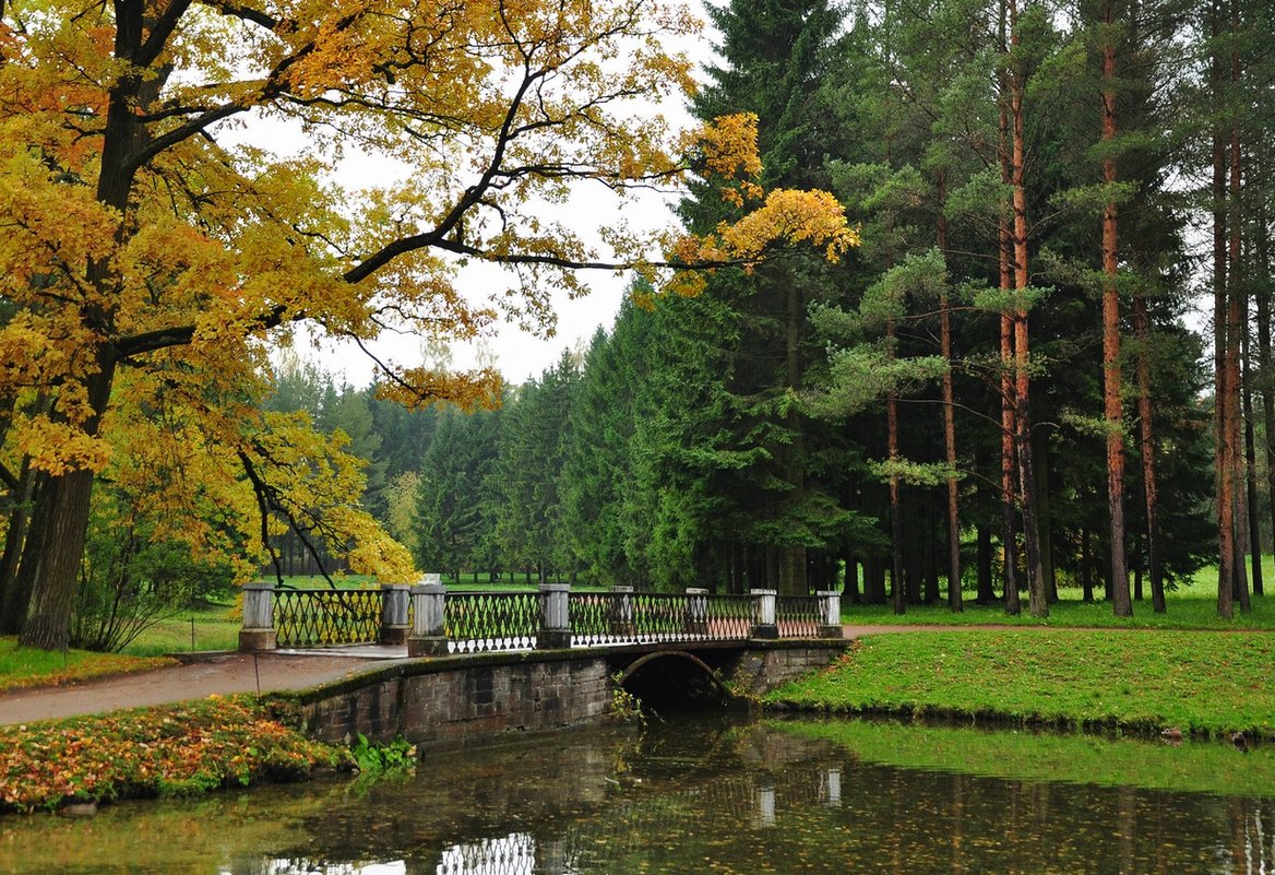 мостик между желтым и зеленым - Лариса Крышталь 