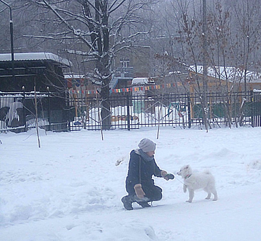 Прогулки зимой - Елена Семигина
