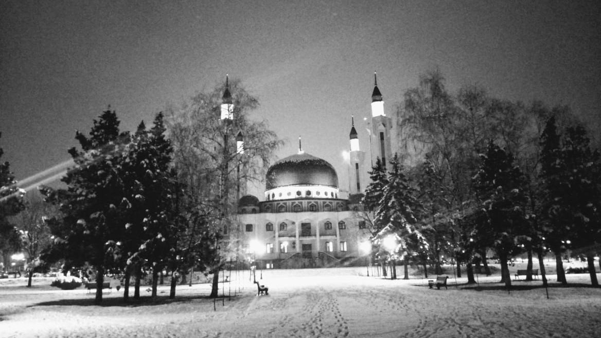 Ночная мечеть - Денис Александрович Суворов