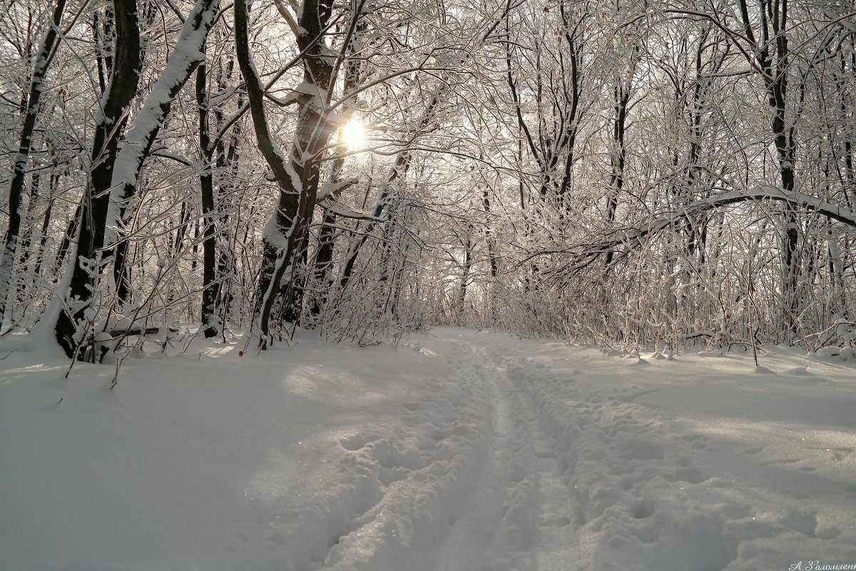 А у нас в  январе  много снега на дворе! - Андрей Заломленков