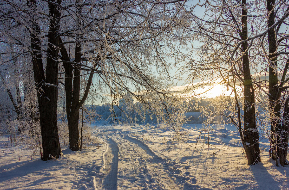Красивая зима - Нина Кутина