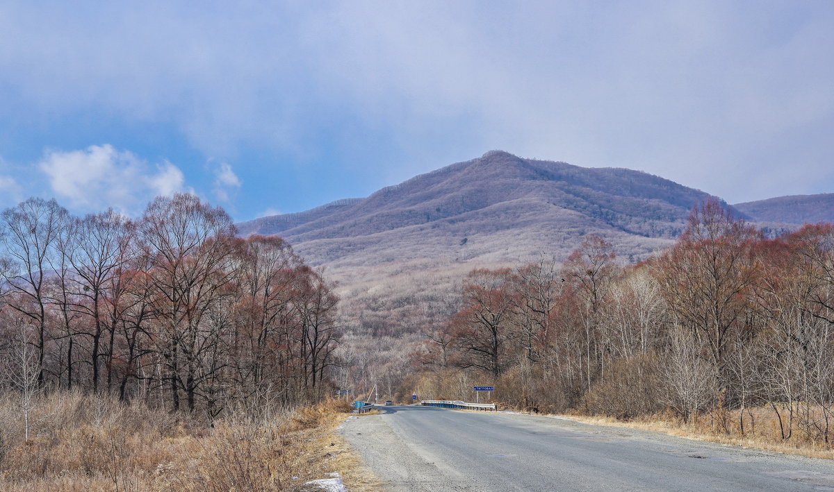 Мост через реку Тигровая, Приморский край - Эдуард Куклин