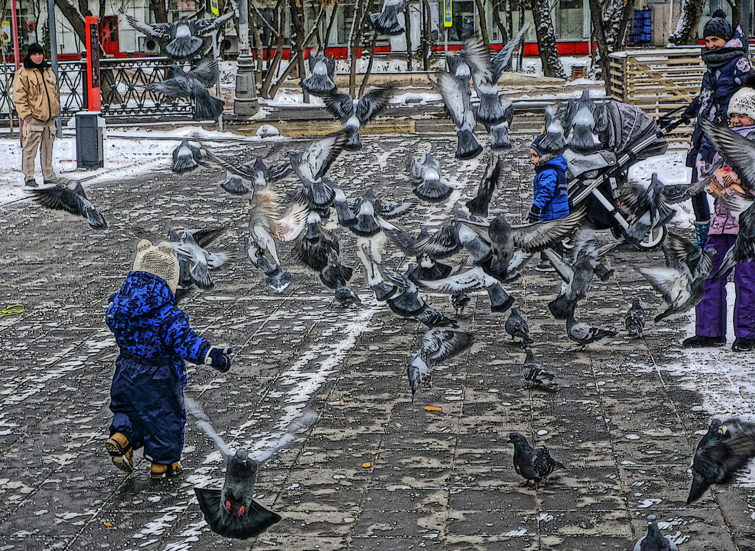 Шугатель голубей - Алексей Виноградов