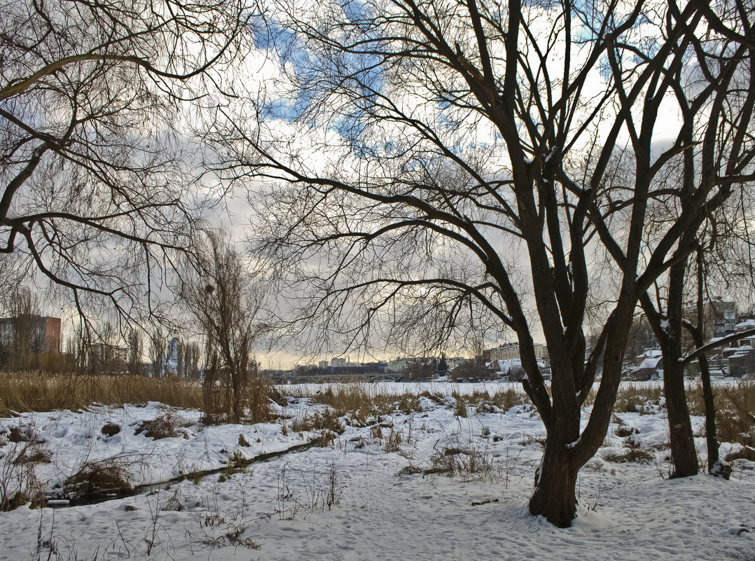 Зимний пейзаж - Ольга Винницкая (Olenka)