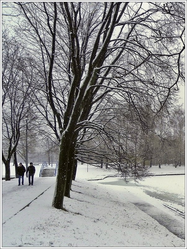 В зимнем парке - Анатолий Цыганок