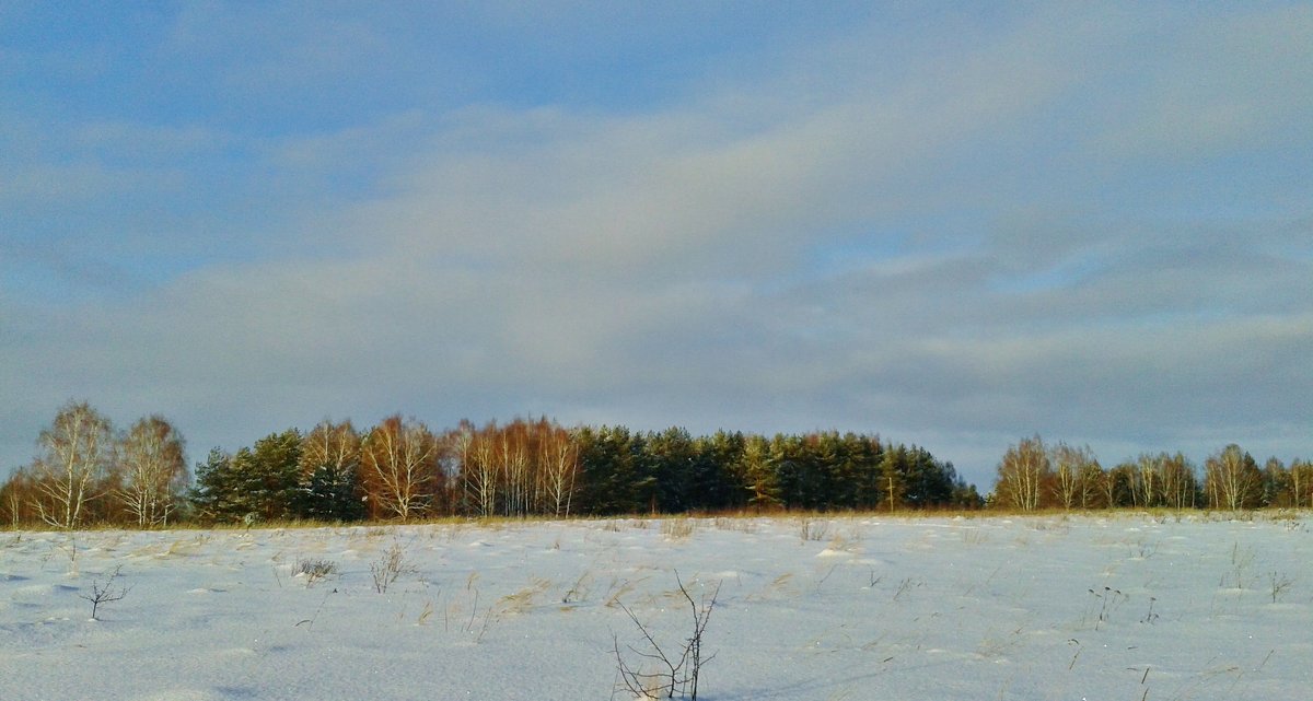 поле снега - Владимир 