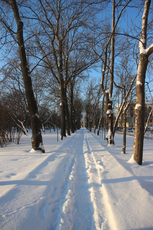 Зима в Царском Селе - Наталья Герасимова