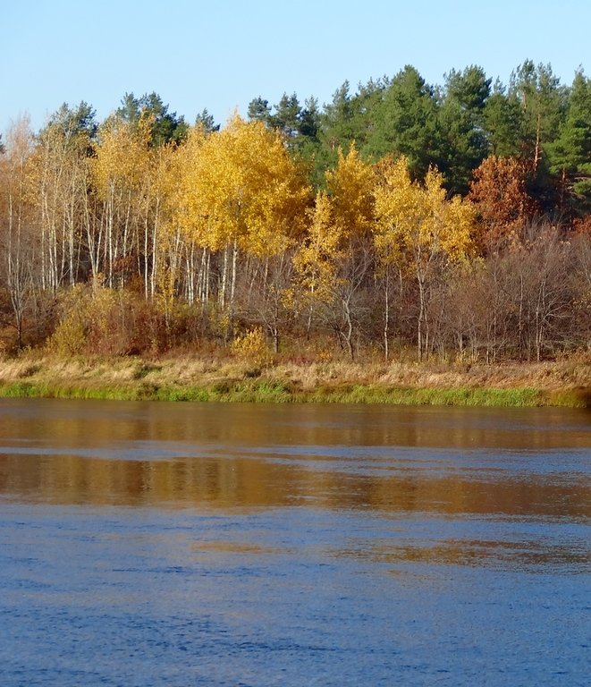 Осень на реке( октябрь) - Натала ***