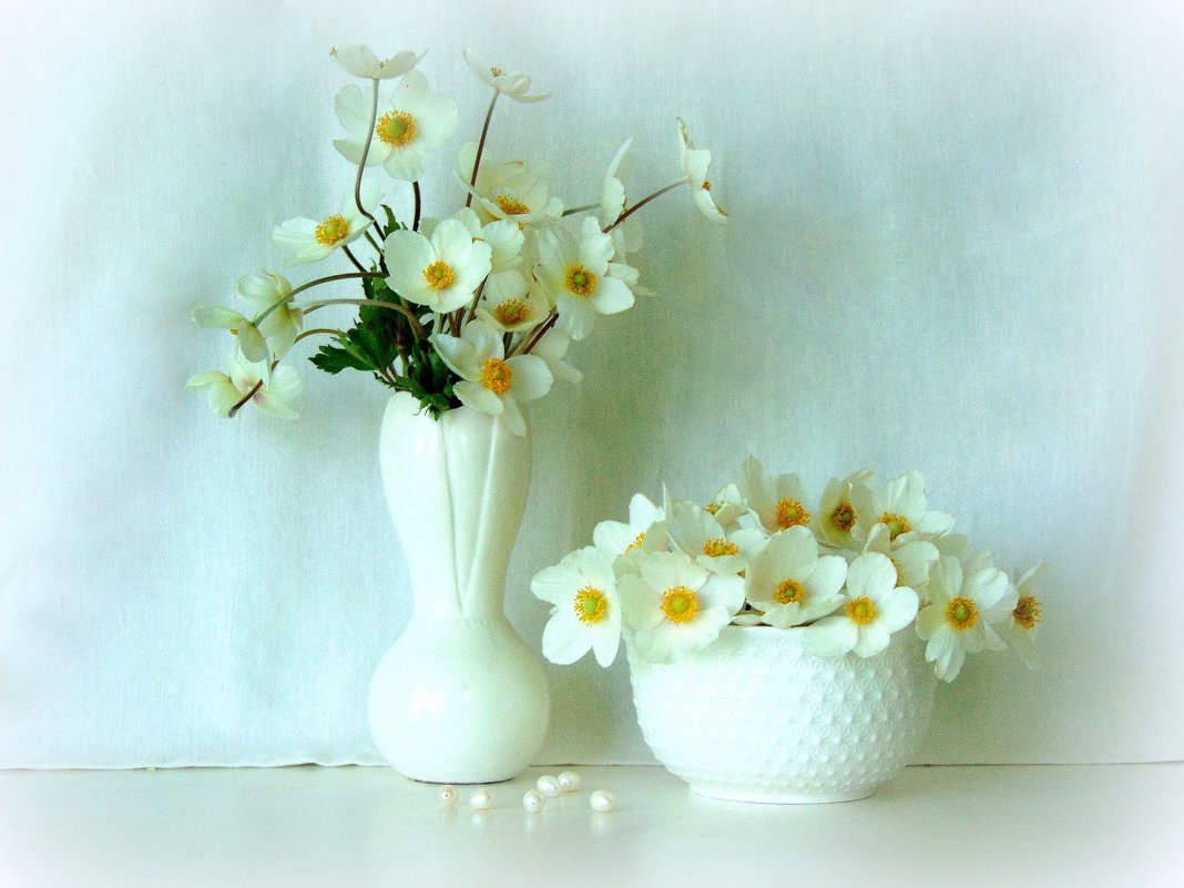Белые цветы. - nadyasilyuk Вознюк