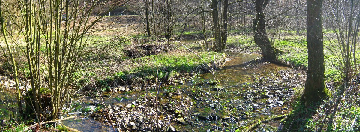 маленькая река в лесу - Heinz Thorns