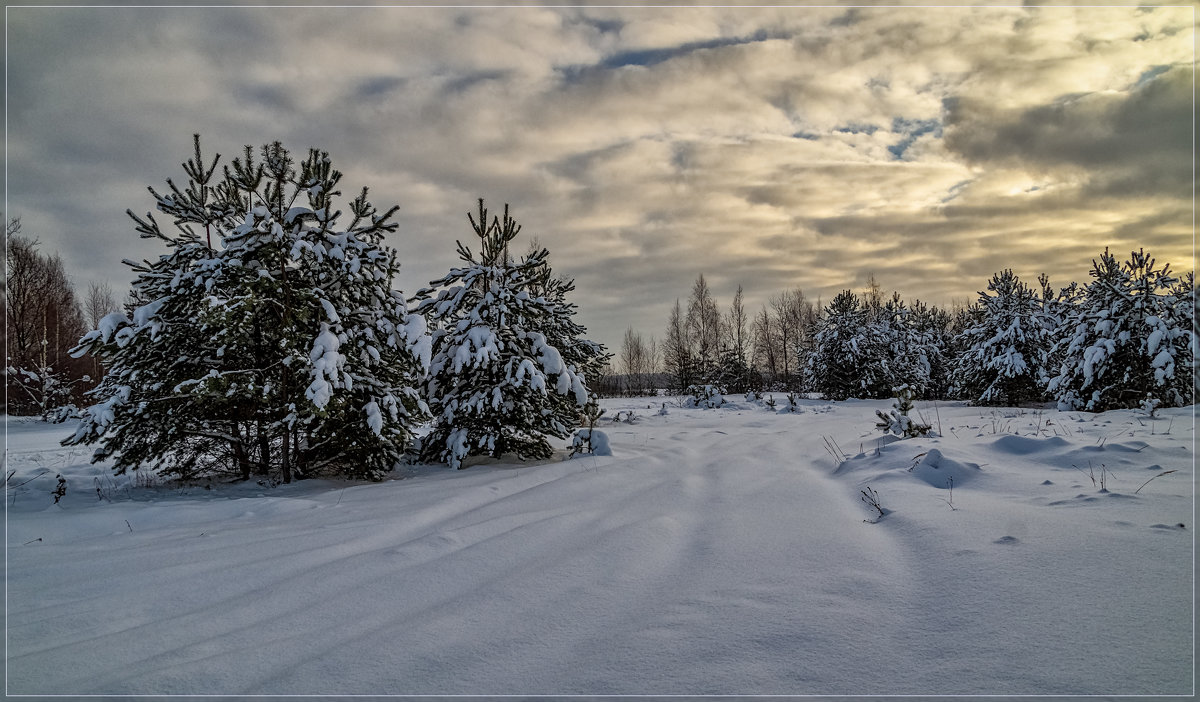 Зимний день 2 - Андрей Дворников