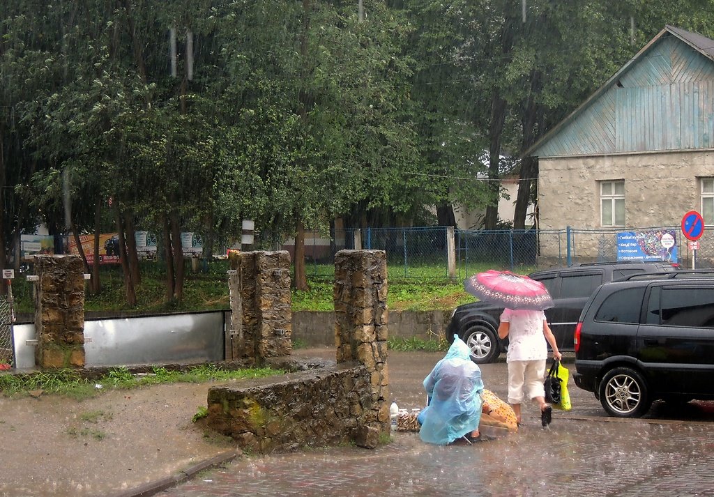 В Карпатах - Роман Савоцкий