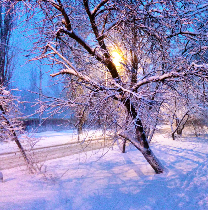 . - Татьяна Королёва