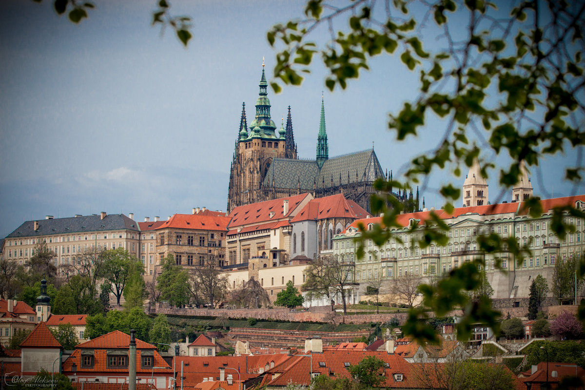 Прага - Oleg Photograph