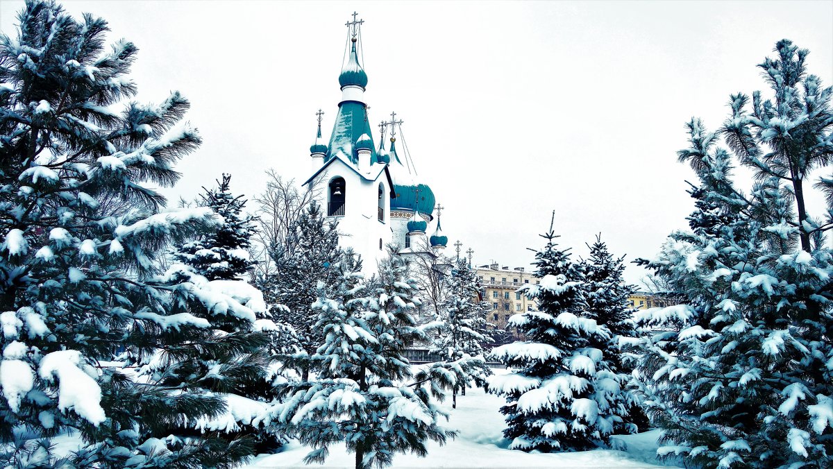 Зимний день у Церкви Рождества Христова(24.01.2019)... - Sergey Gordoff