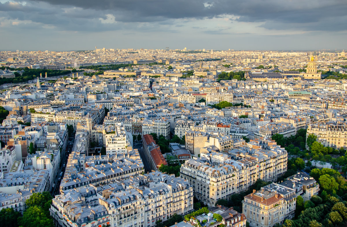 Вид на Париж с Эйфелевой башни - Наталия Л.
