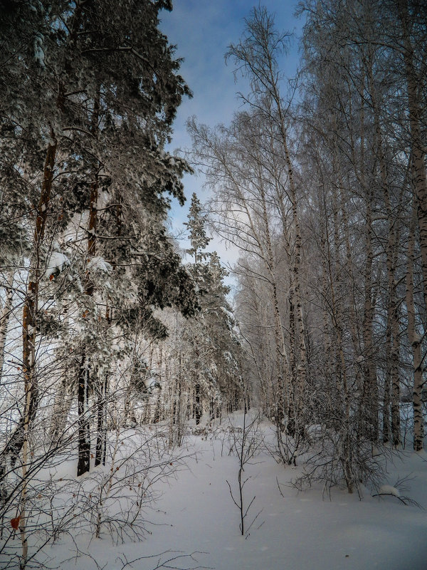 ... - Василий Гаинский