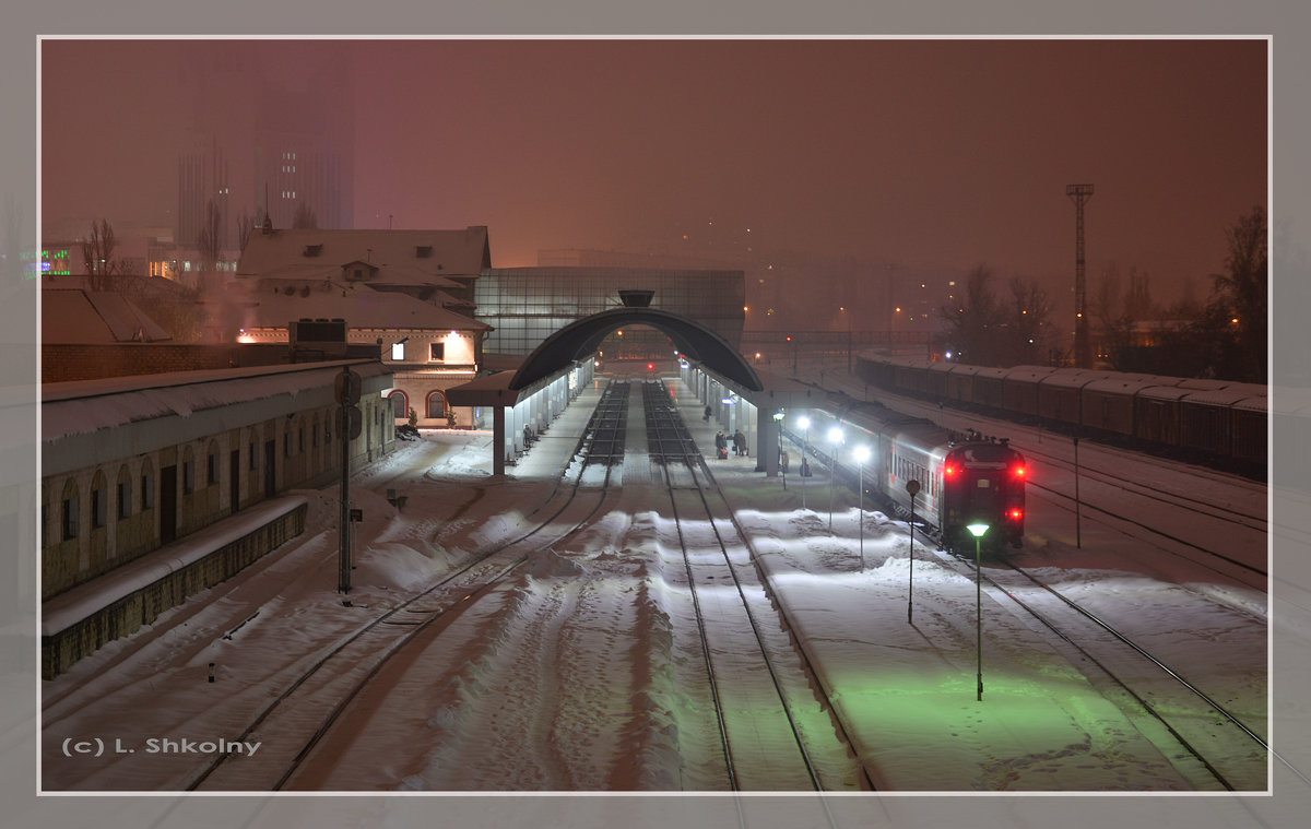 Зимний вокзал в тумане - Леонид Школьный