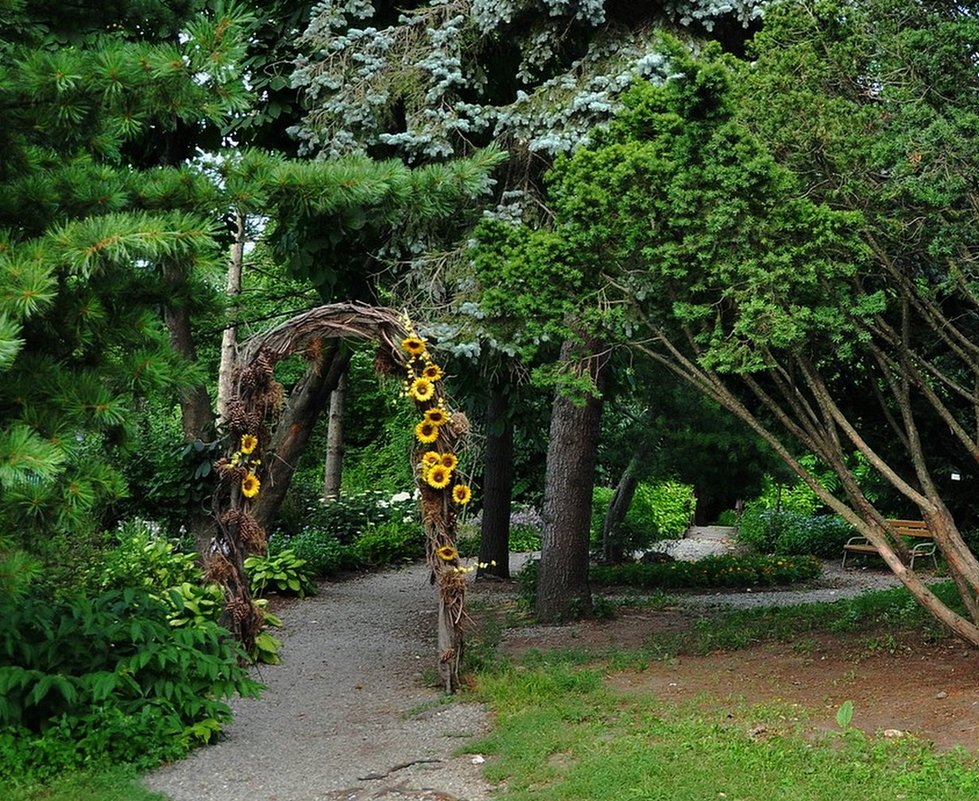Ботанический сад Владивостока - Лариса Крышталь 