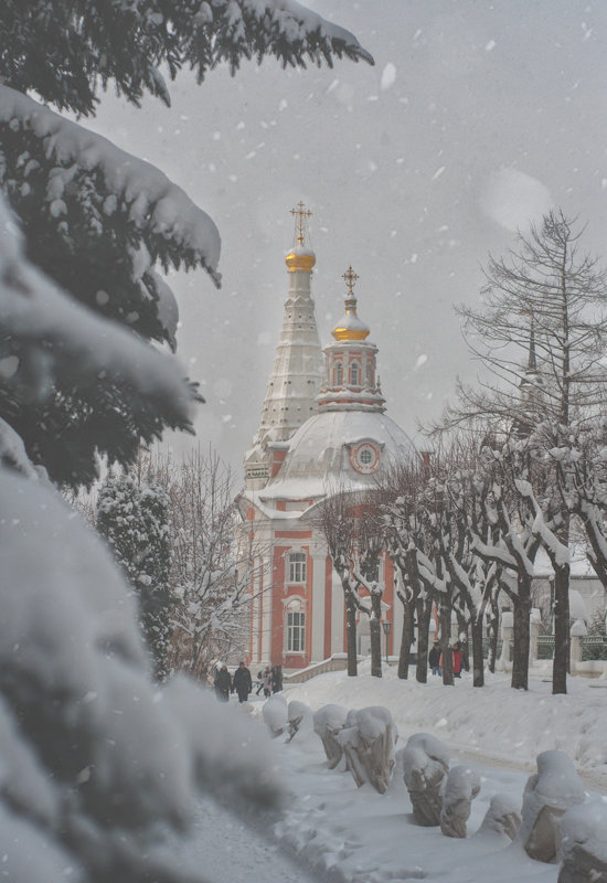 После снегрпада - Василий Андерс