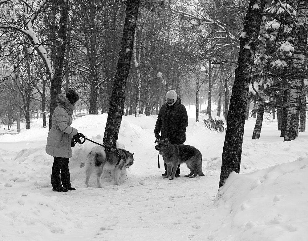 Встреча ... - Лариса Корженевская