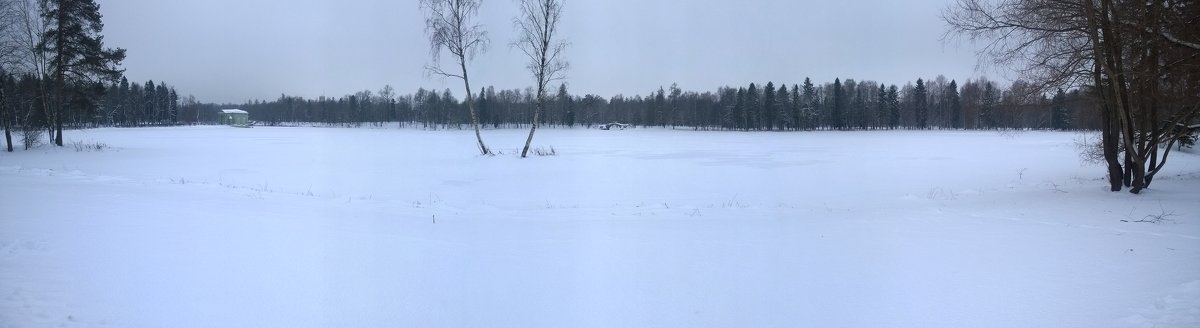 В Павловском парке - Александр Шилов